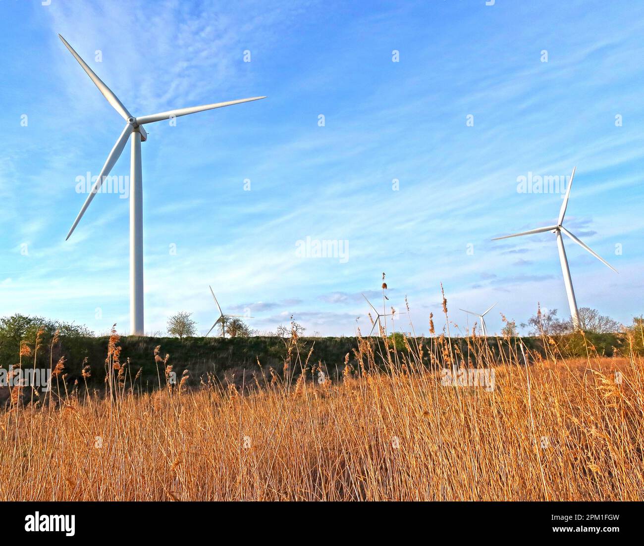 BRE Group BREGroup.com , Peel Energy Frodsham Wind Farm, capacità installata 50MW, Lordship Lane, Frodsham, Cheshire, INGHILTERRA, REGNO UNITO, WA6 7SN Foto Stock