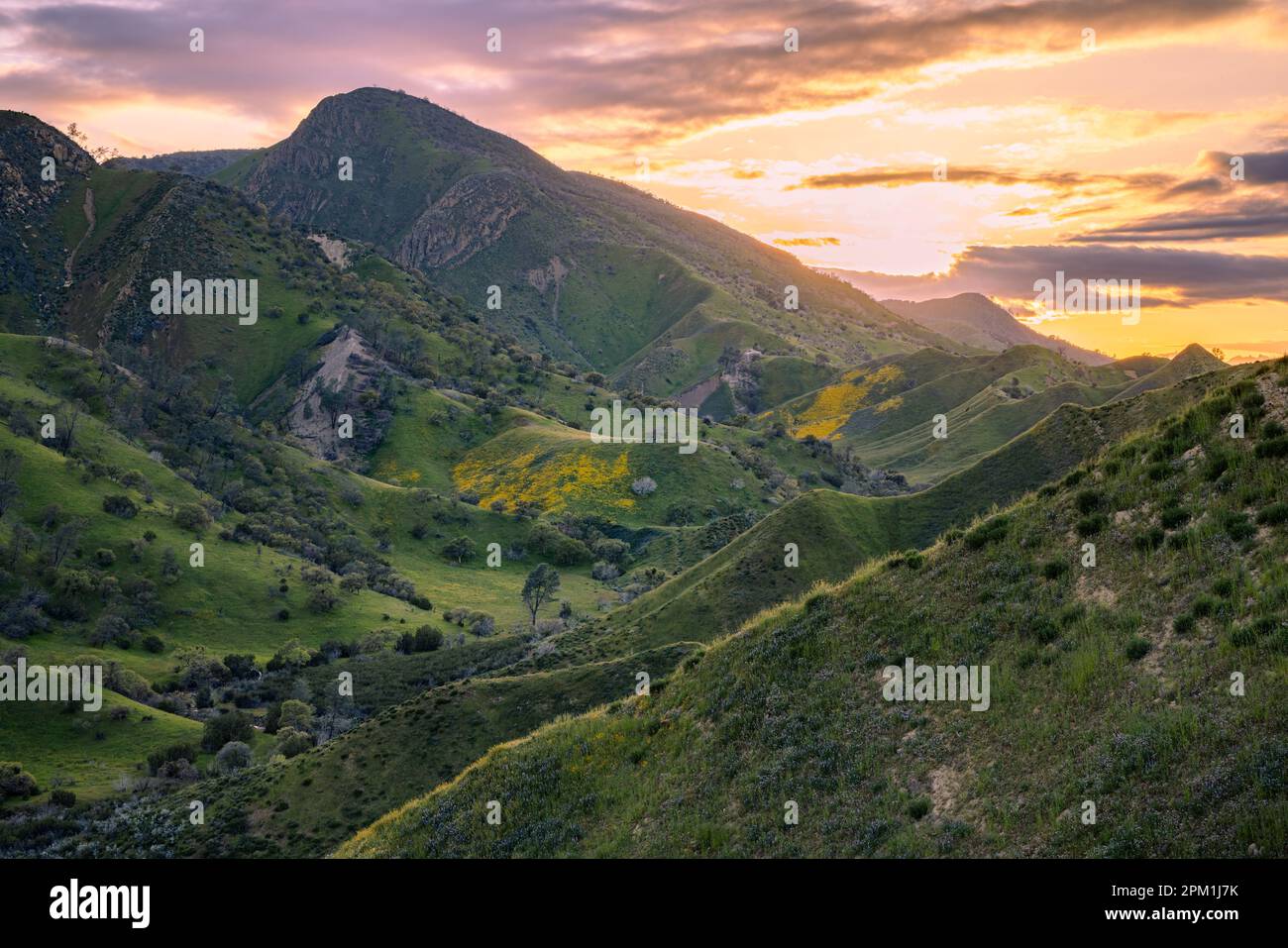 Tramonto sul crinale durante la fioritura della California del 2023. Foto Stock