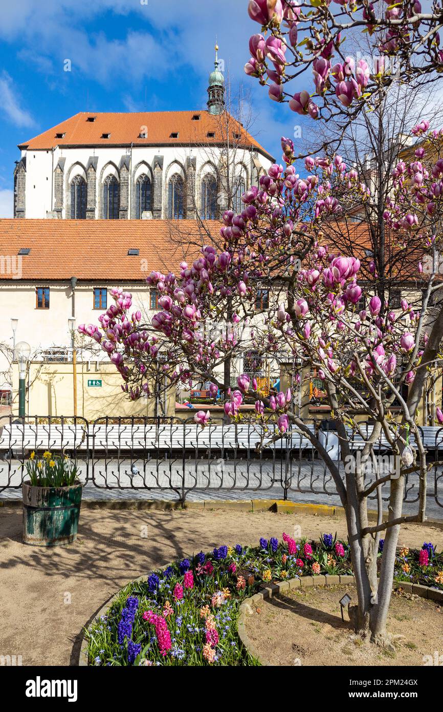 kostel Panny Marie Snezne, Frantiskanska zahrada, nove Mesto, Praha, Ceska Republika / Giardino Francescano, Città Nuova, Praga, Repubblica Ceca Foto Stock