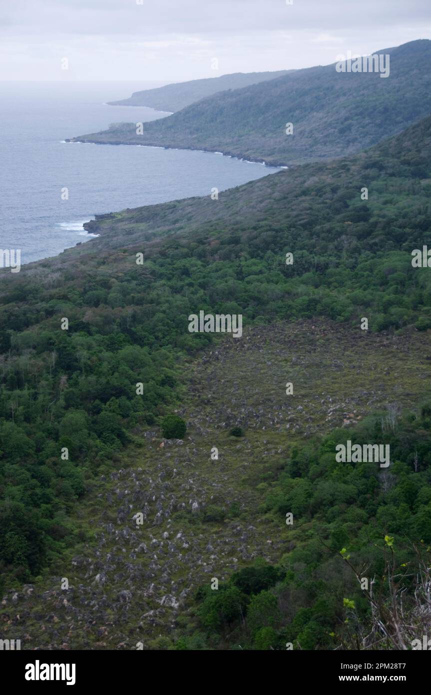 Danni all'ambiente dovuti al fosfato minerario proveniente dalla foresta, Christmas Island, Australia Foto Stock