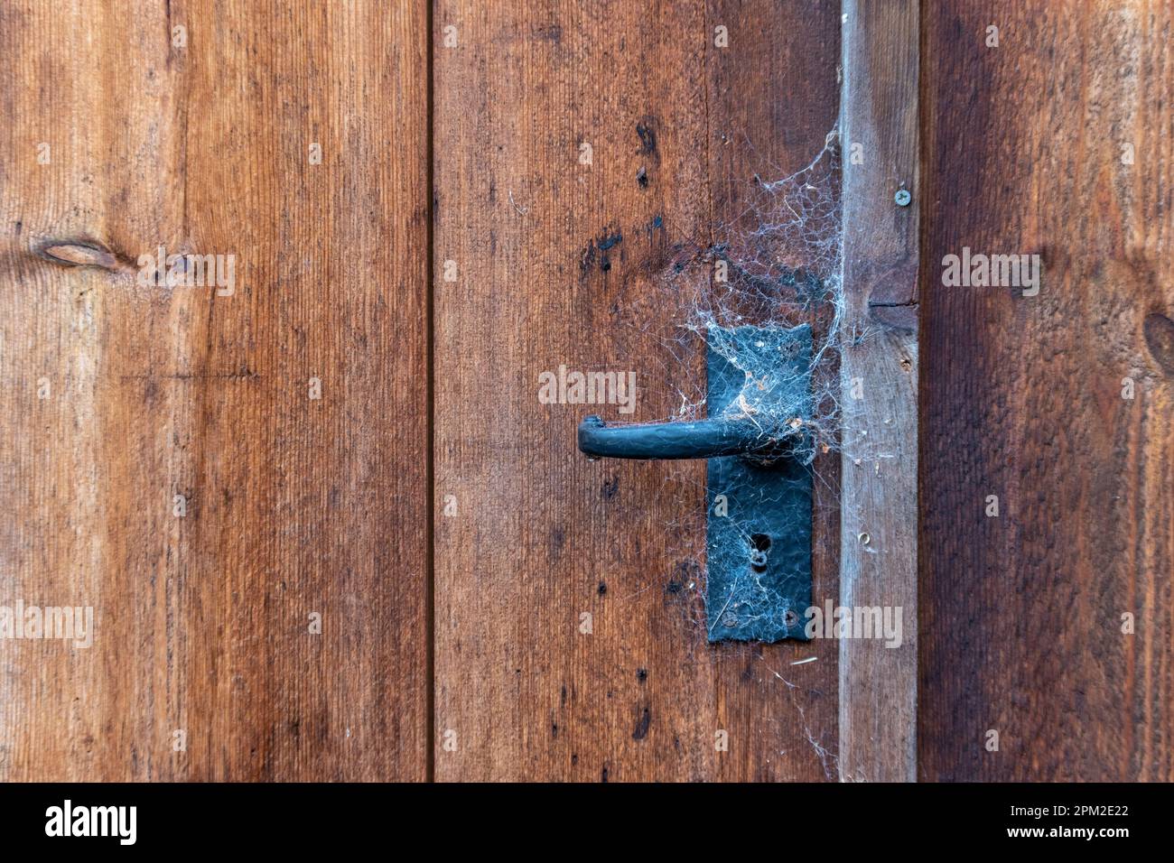 Vecchia porta in legno con maniglia in metallo rivestita in ciottoli, concetto per chiusura o disuso. Foto Stock