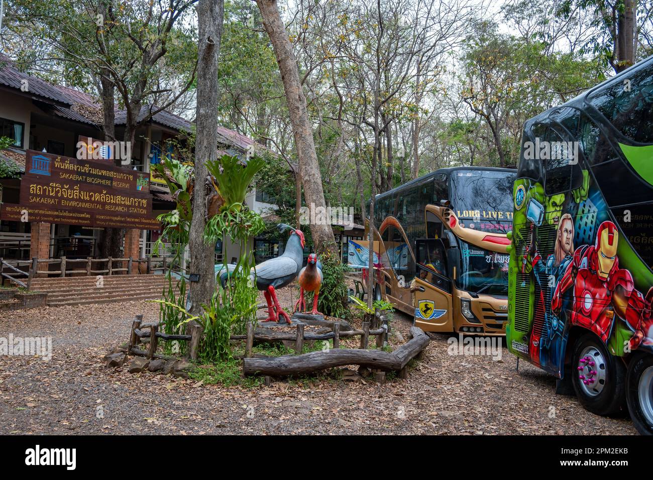 Autobus che trasportano turisti per visitare Sakaerat Environmental Research Station, Udom SAP, Thailandia. Foto Stock