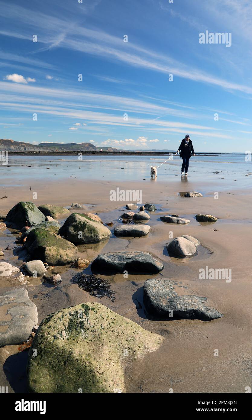 Lyme Regis, Dorset Foto Stock