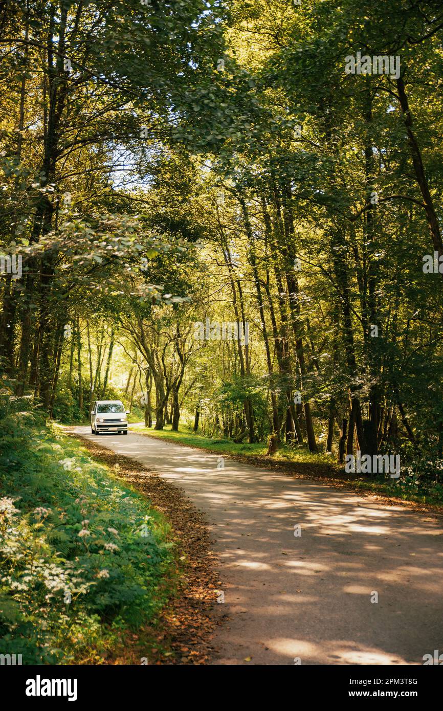 Un camper che viaggia lungo un sentiero tra alberi frondosi. Viaggio in pulmino e avventura estiva all'aperto. Concetto di stile di vita Nomad Foto Stock