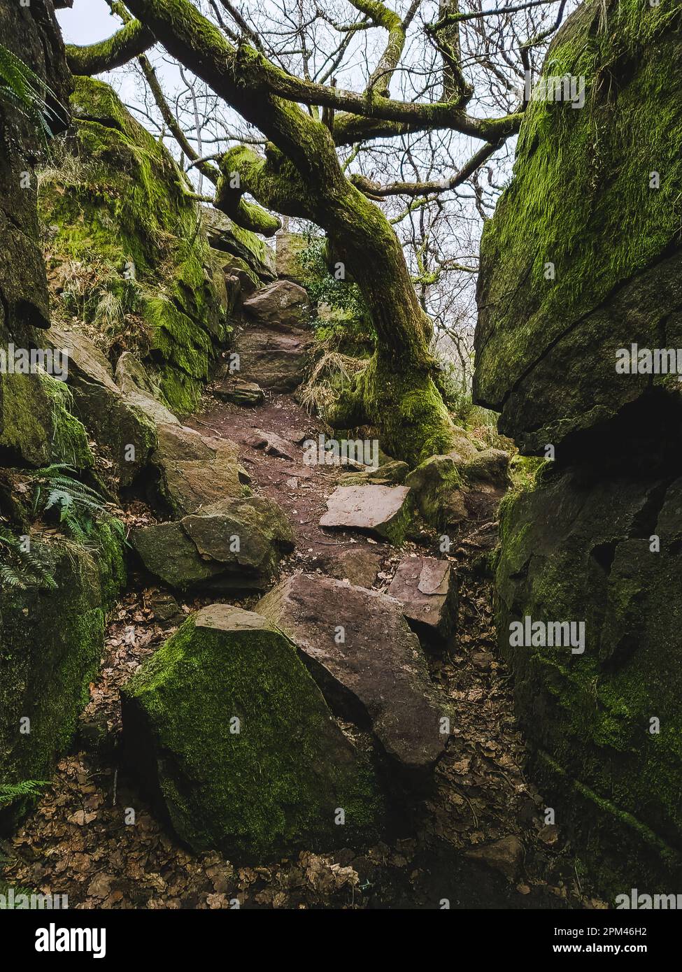 Un abisso mistico, dove le pareti ricoperte di muschio creano una cattedrale naturale, immersa nella storia, nelle leggende e nei legami con 'Sir Gawain e il Knig Verde Foto Stock