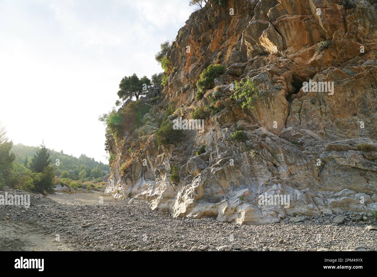 Canyon a Rodi Greek Island Dry River in estate, Schlucht in Rhodos Griechenland Insel mit trockenen Fluss im Sommer Landschaft Landscape Foto Stock