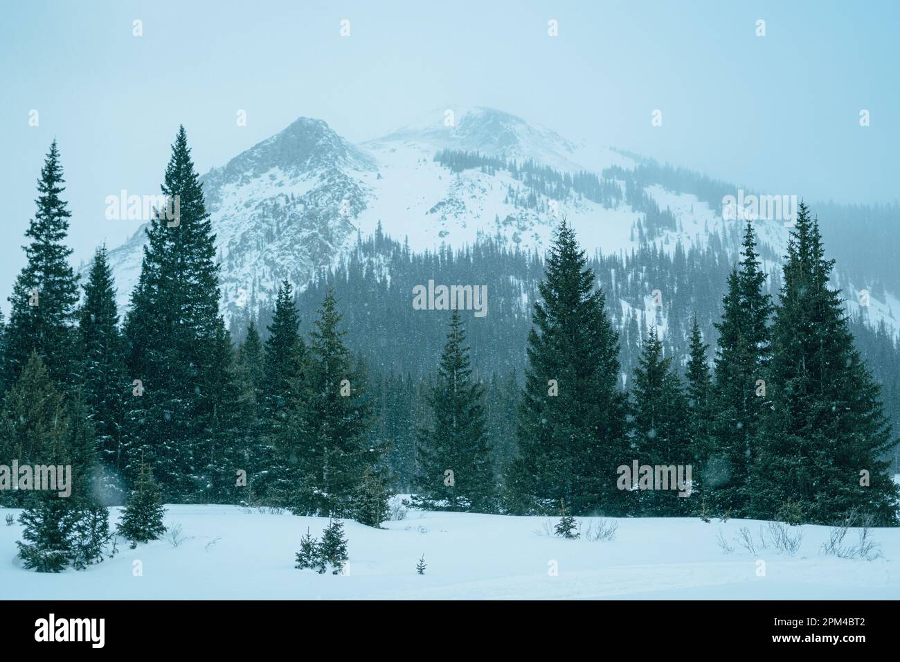 Neve scenario di montagna, Montezuma, Colorado Foto Stock