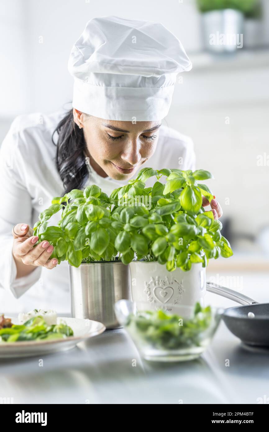 Una cuoca femminile professionista in un vestito di uno chef bianco odora basilico fresco in una cucina ristorante. Foto Stock