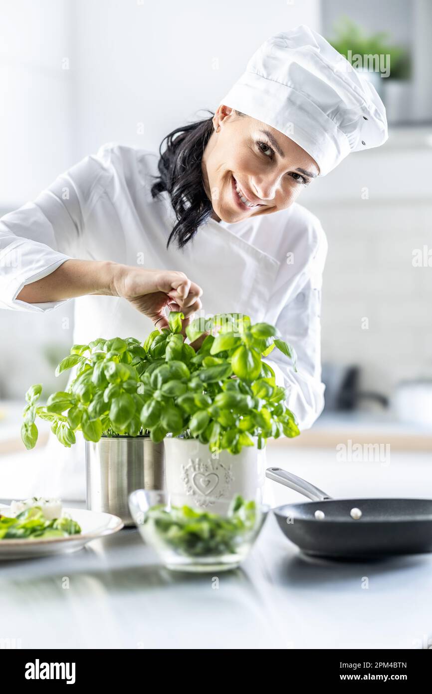 Attraente chef femminile è strappare foglie di basilico fresco da utilizzare in cibo, sorridendo. Foto Stock