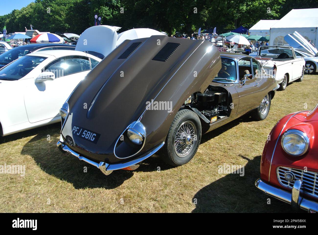 Una Jaguar di tipo e 1968 parcheggiata in esposizione al 47th Historic Vehicle Gathering Classic Car Show, Powderham, Devon, Inghilterra, Regno Unito. Foto Stock