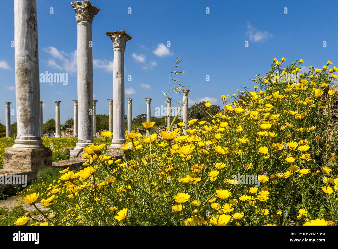 Rovine dell'antica città-regno dell'età del ferro di Salamis vicino ad Agios Sergios, Cipro Foto Stock