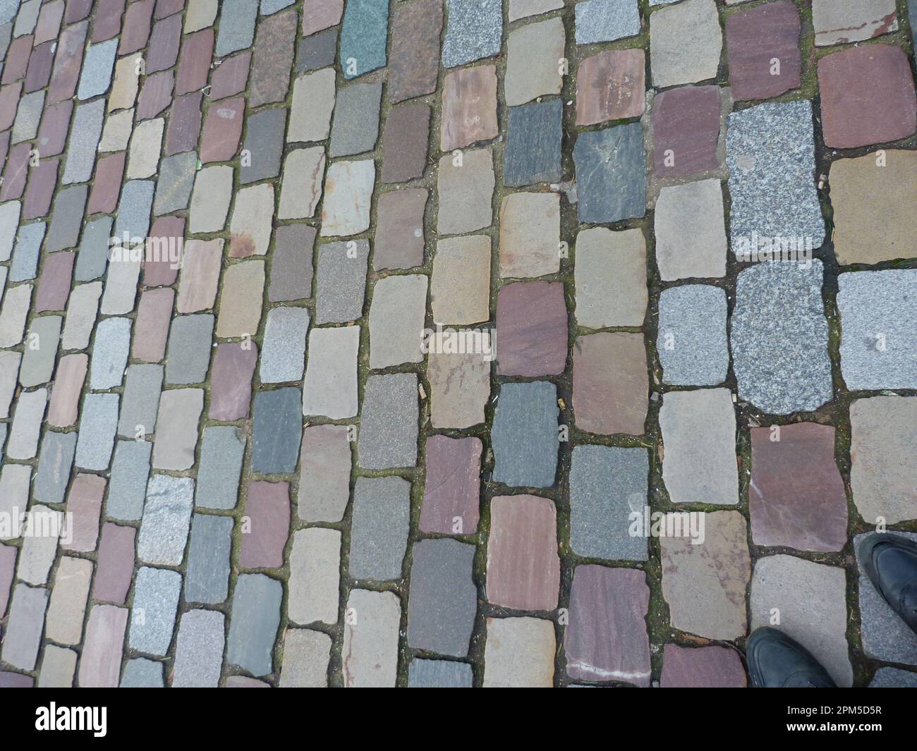immagine pouvant servir de texture Foto Stock
