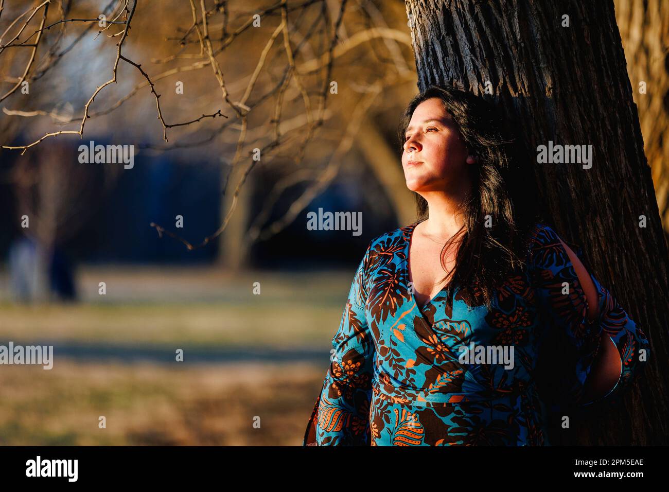 Una bella donna si appoggia all'albero in luce dorata, Foto Stock