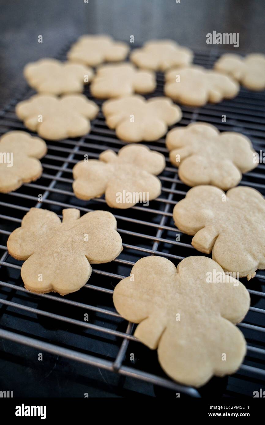 Biscotti Shamrock appena sfornati raffreddamento su griglia da forno Foto Stock