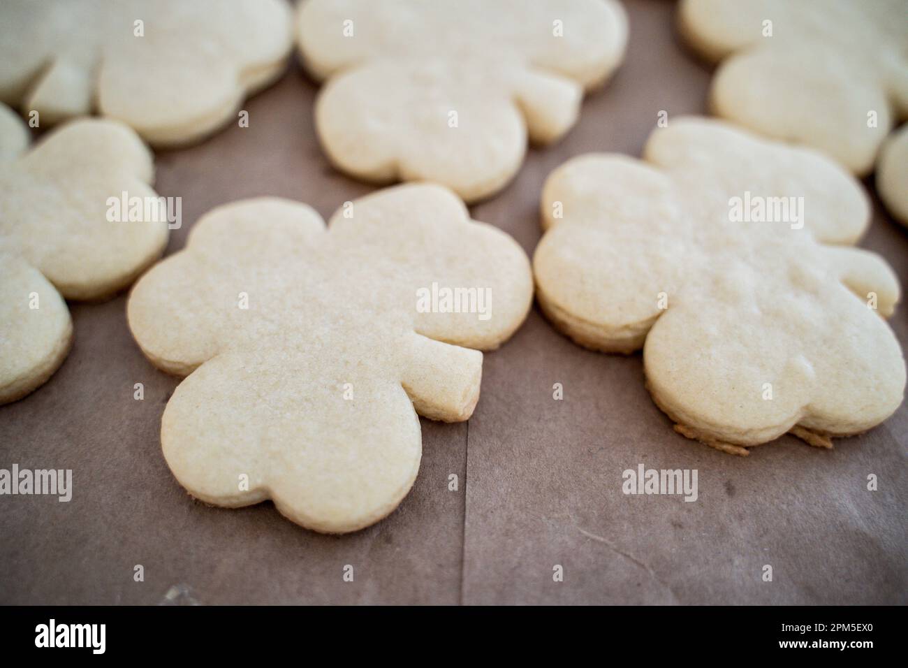 Primo piano di Shamrock Sugar Cooking fresco cotto sul sacchetto di carta Foto Stock