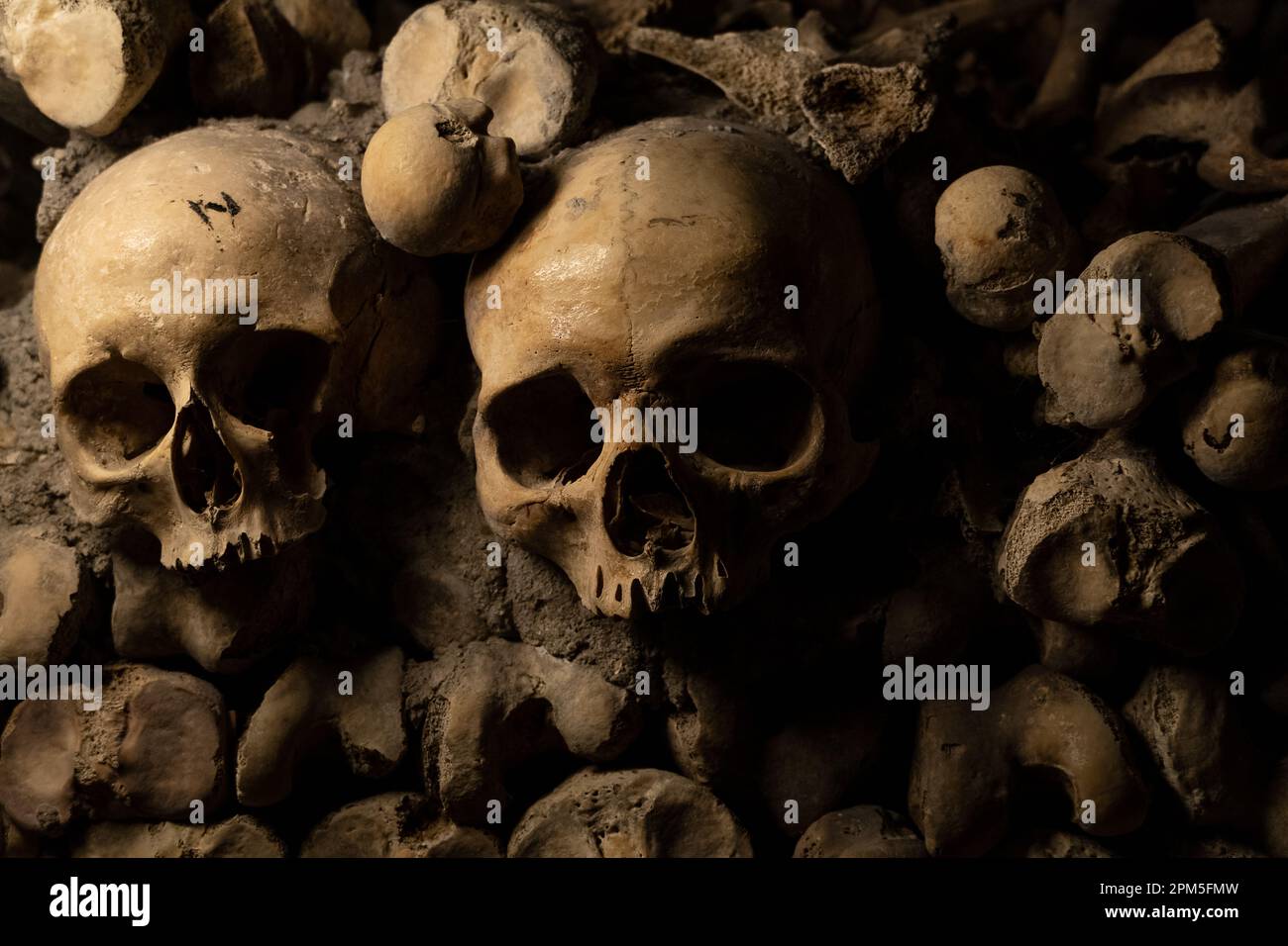 Teschi umani e ossa nelle catacombe di Parigi Foto Stock