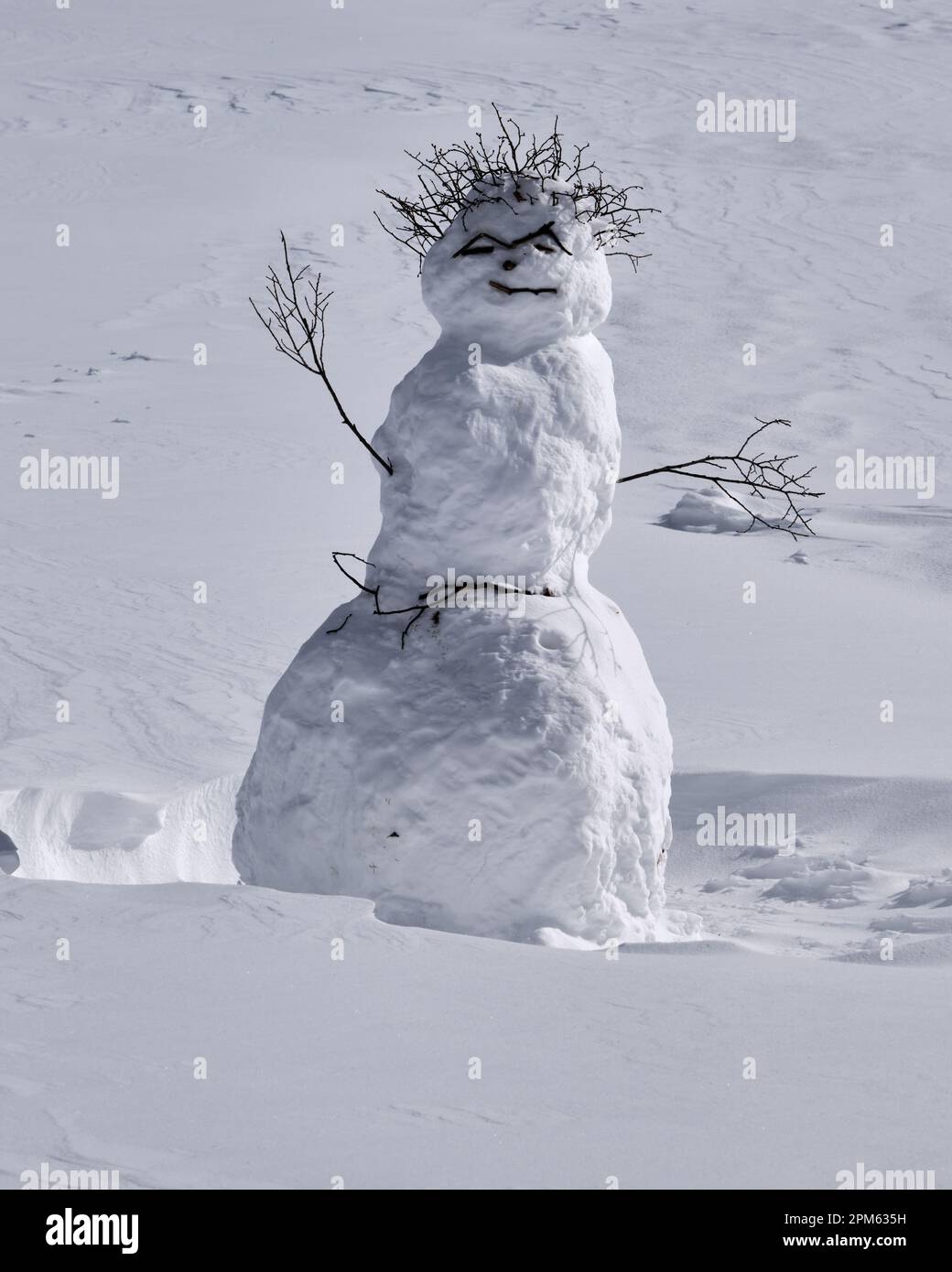 un pupazzo di neve improvvisato con ramoscelli e bastoni per hiar e arti in un campo di neve Foto Stock