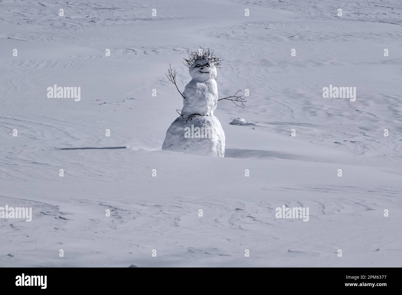 un pupazzo di neve improvvisato con ramoscelli e bastoni per hiar e arti in un campo di neve Foto Stock