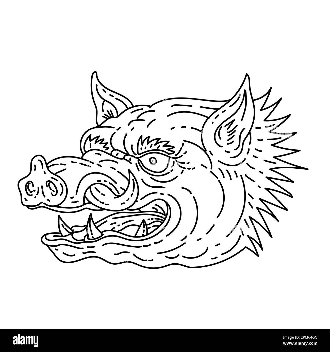 Illustrazione in linea singola della testa di un razorback arrabbiato, maiale selvatico o maiale ferale fatto in stile di disegno in linea monolina. Foto Stock