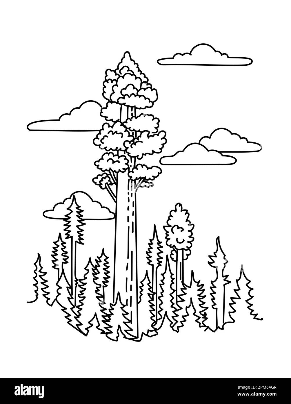 Illustrazione in monocromia dell'albero generale Sherman nel Parco Nazionale di Sequoia nelle montagne della Sierra Nevada meridionale, California, Stati Uniti fatta in nero A. Foto Stock