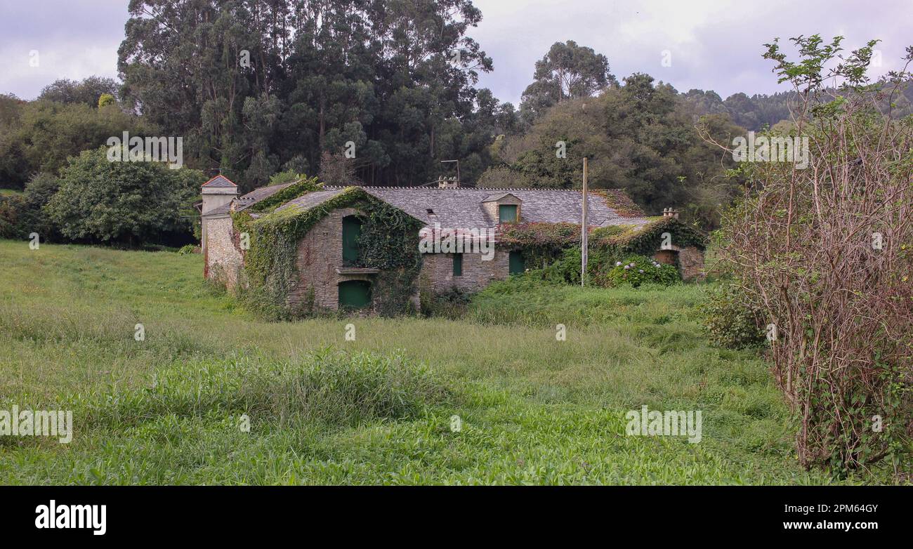 Vecchia casa abbandonata in uno scenario rurale in Galizia, Spagna Foto Stock