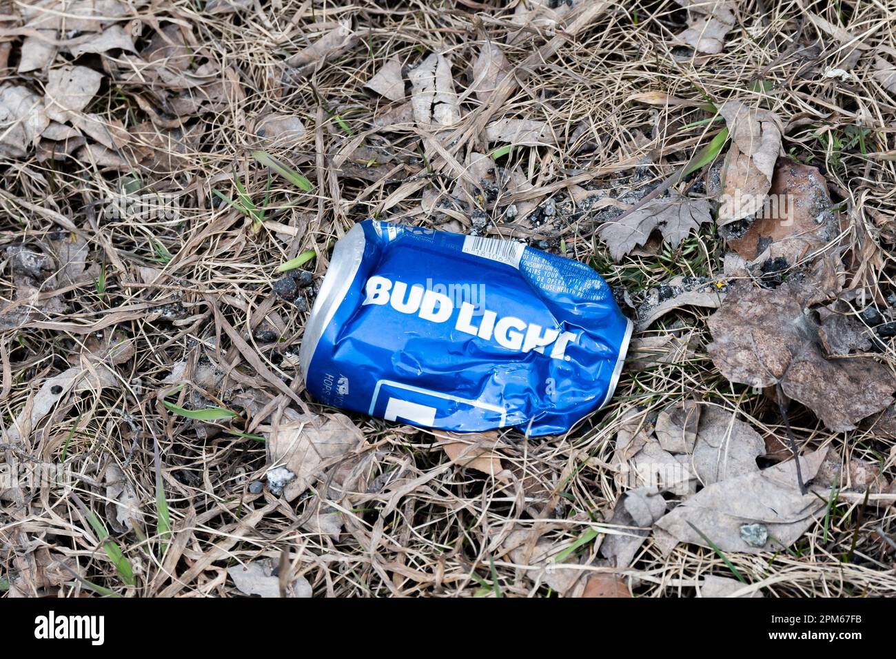 Un Bud Light schiacciato può gettare nelle foglie nelle montagne Adirondack, NY USA Foto Stock