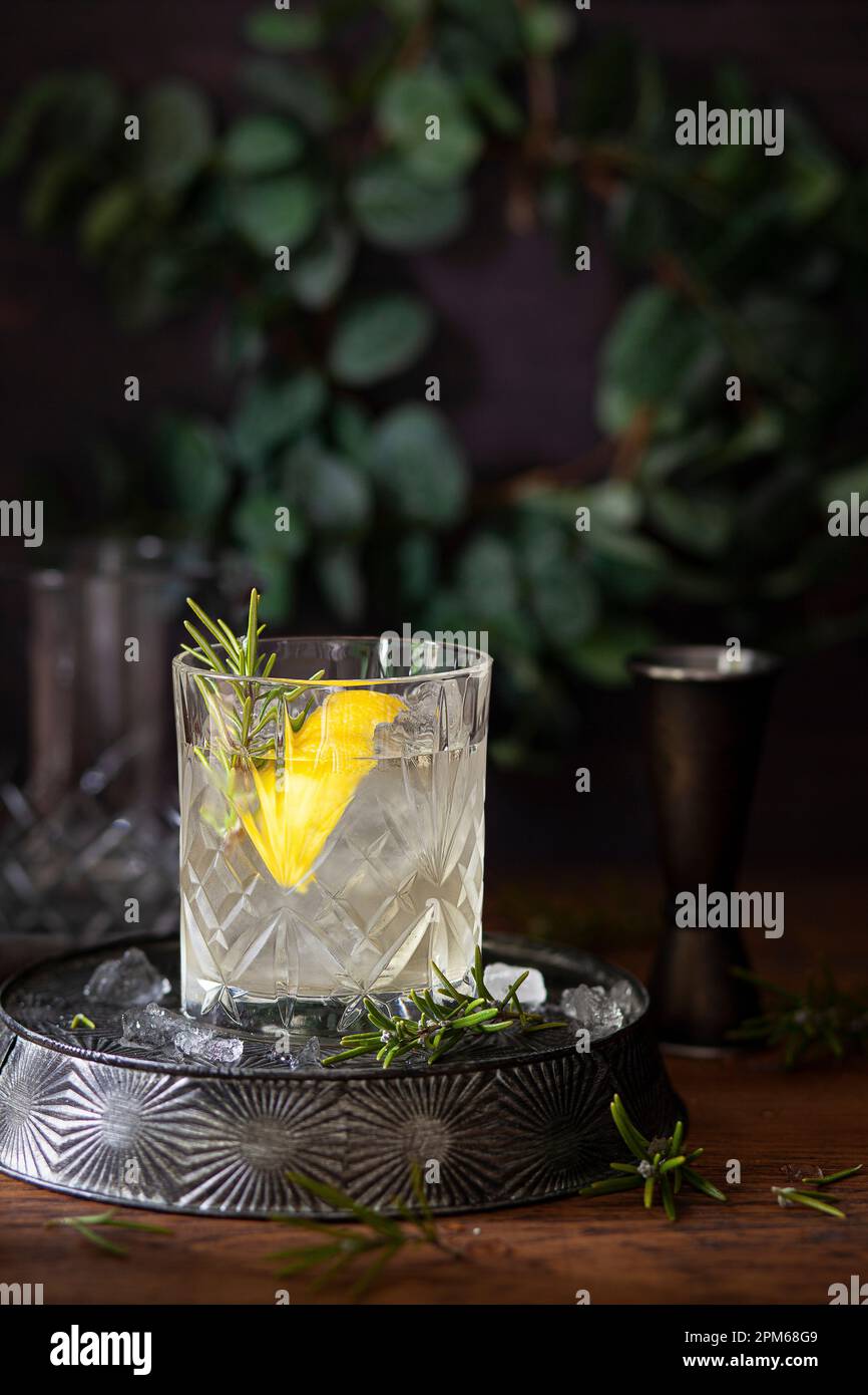 Un cocktail di gin in un bicchiere servito con una decorazione al limone e rosmarino. Foto Stock