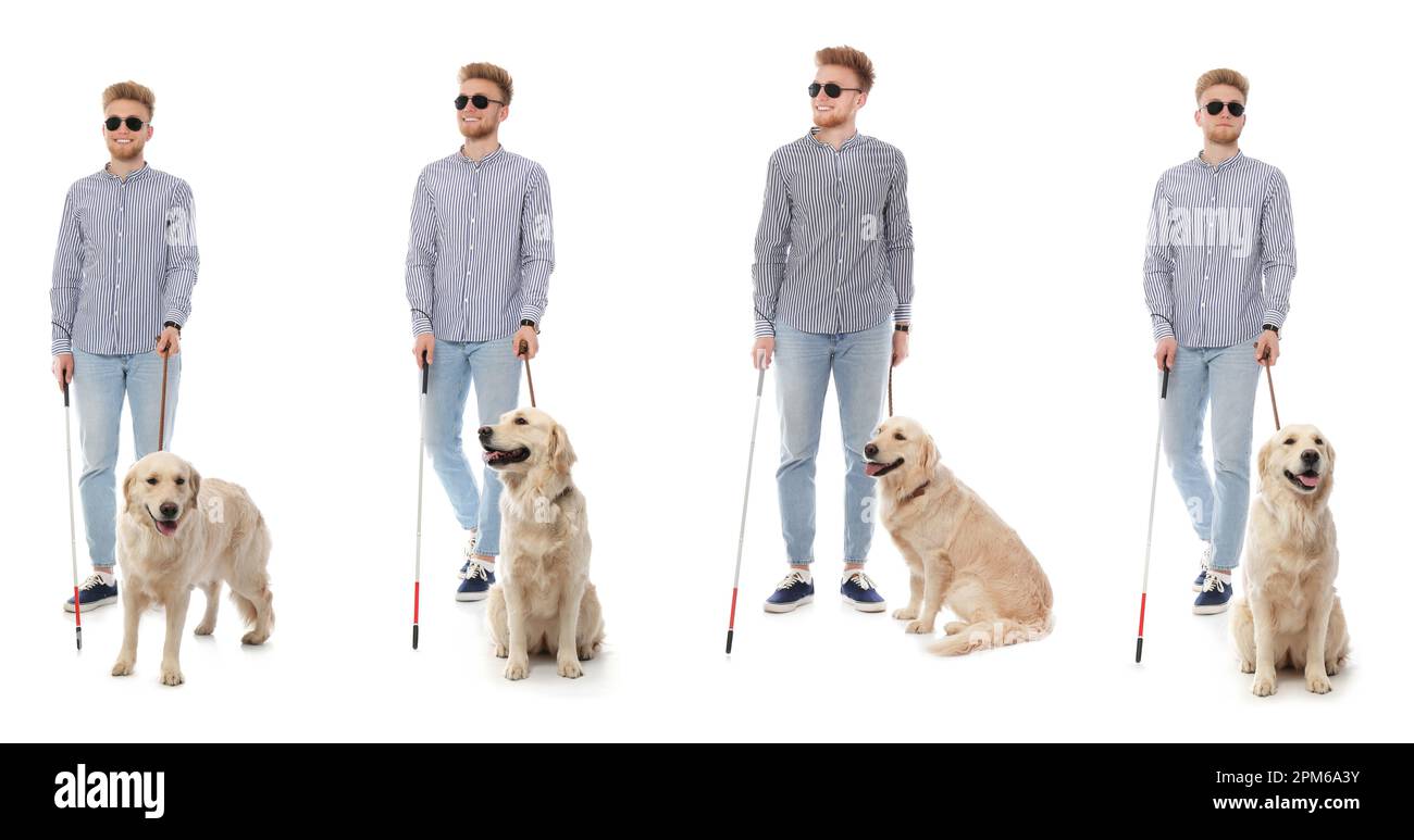 Uomo cieco con canna lunga e cane guida su sfondo bianco. Design del banner Foto Stock
