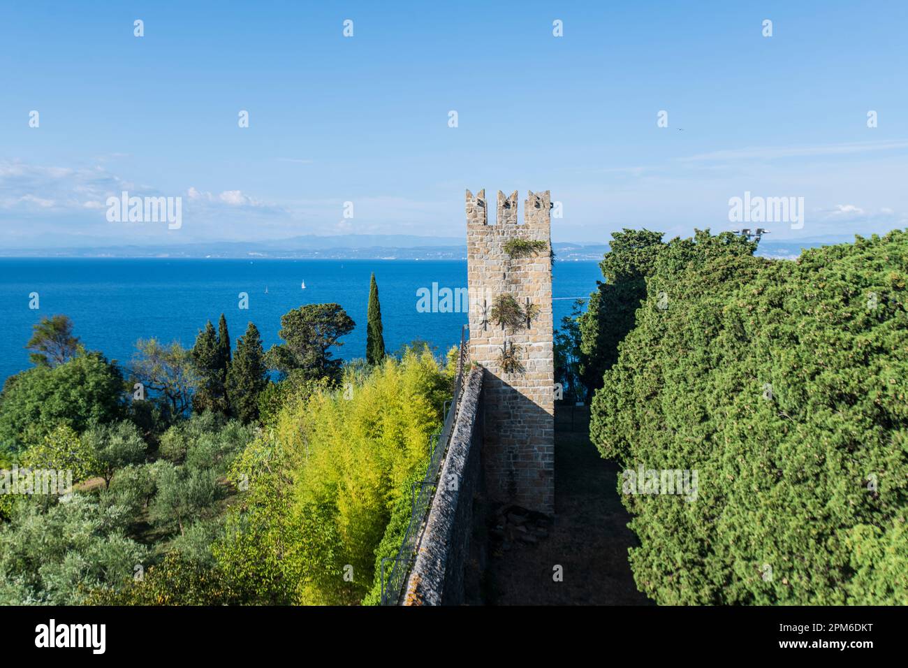 Mura di Pirano. Slovenia Foto Stock