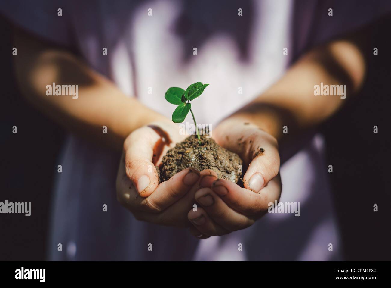 Cute capretto piantare un albero per aiutare a prevenire il riscaldamento globale o il cambiamento climatico e salvare la terra. Immagine per il concetto di Giornata della Terra Foto Stock