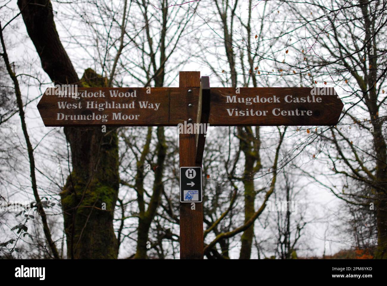 Mugdock Park, vicino a Milngavie, Scozia Foto Stock