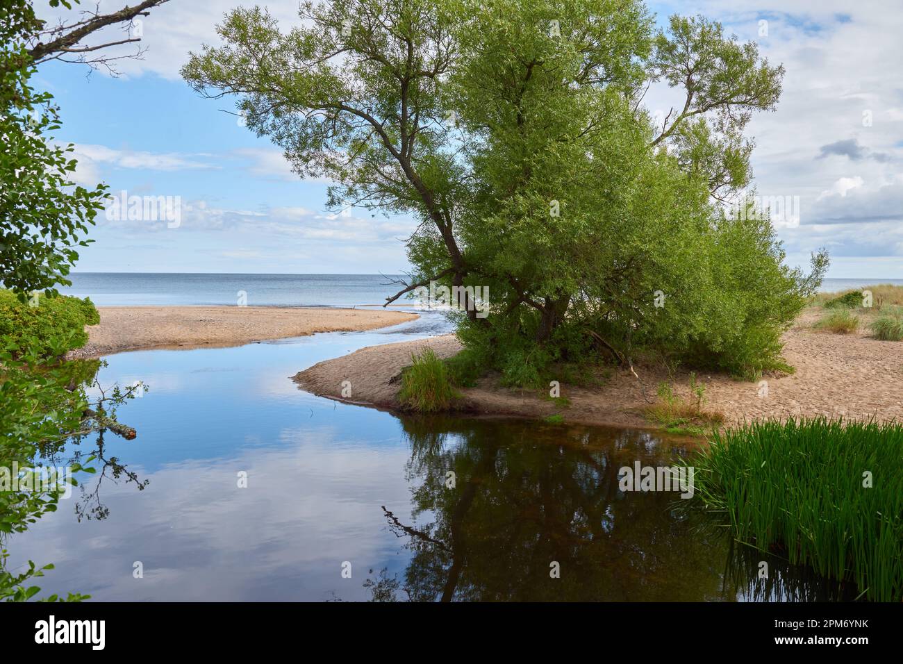 Una bocca di torrente dove un torrente 'Verkaån' sta entrando nel mare con alberi verdi ai lati. Foto Stock