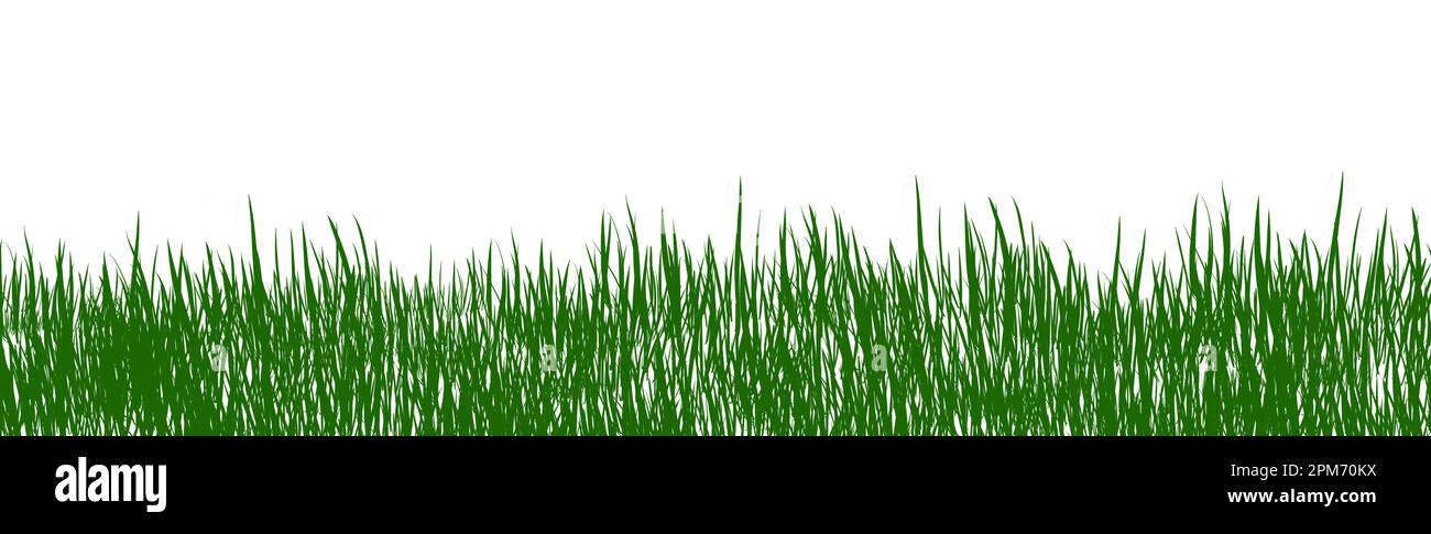 erba verde resa digitale isolata su bianco. Foto Stock