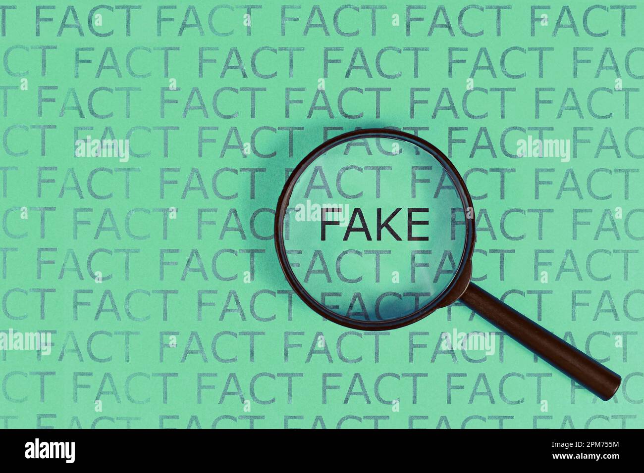 Falso concetto di notizie con parole 'fatto' in fila e singola parola 'falso' evidenziato da lente di ingrandimento su sfondo verde Foto Stock