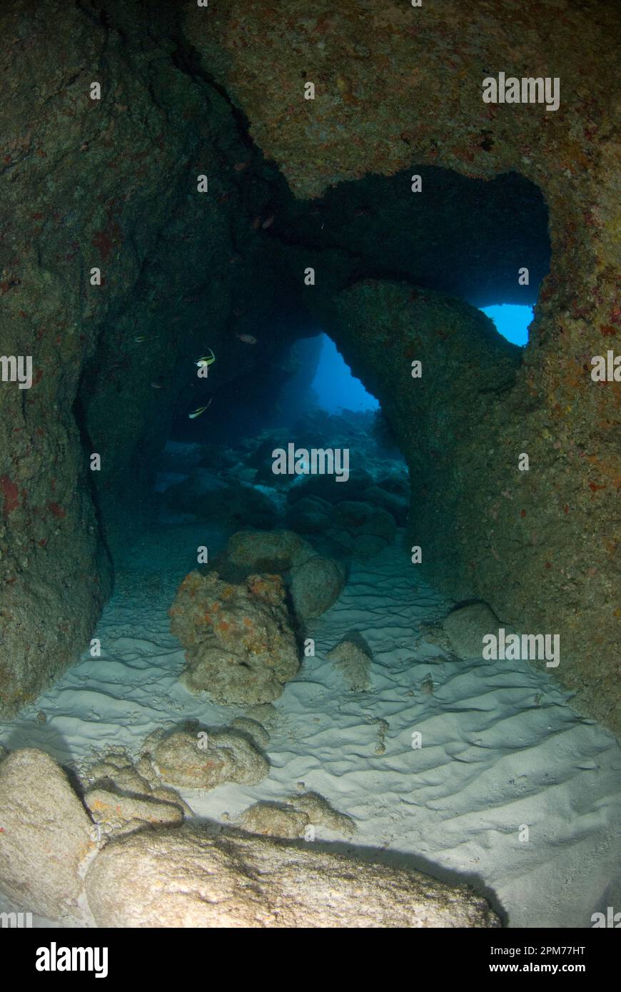 Passaggio nella grotta, sito di immersione West White Beach Cave, Christmas Island, Australia Foto Stock