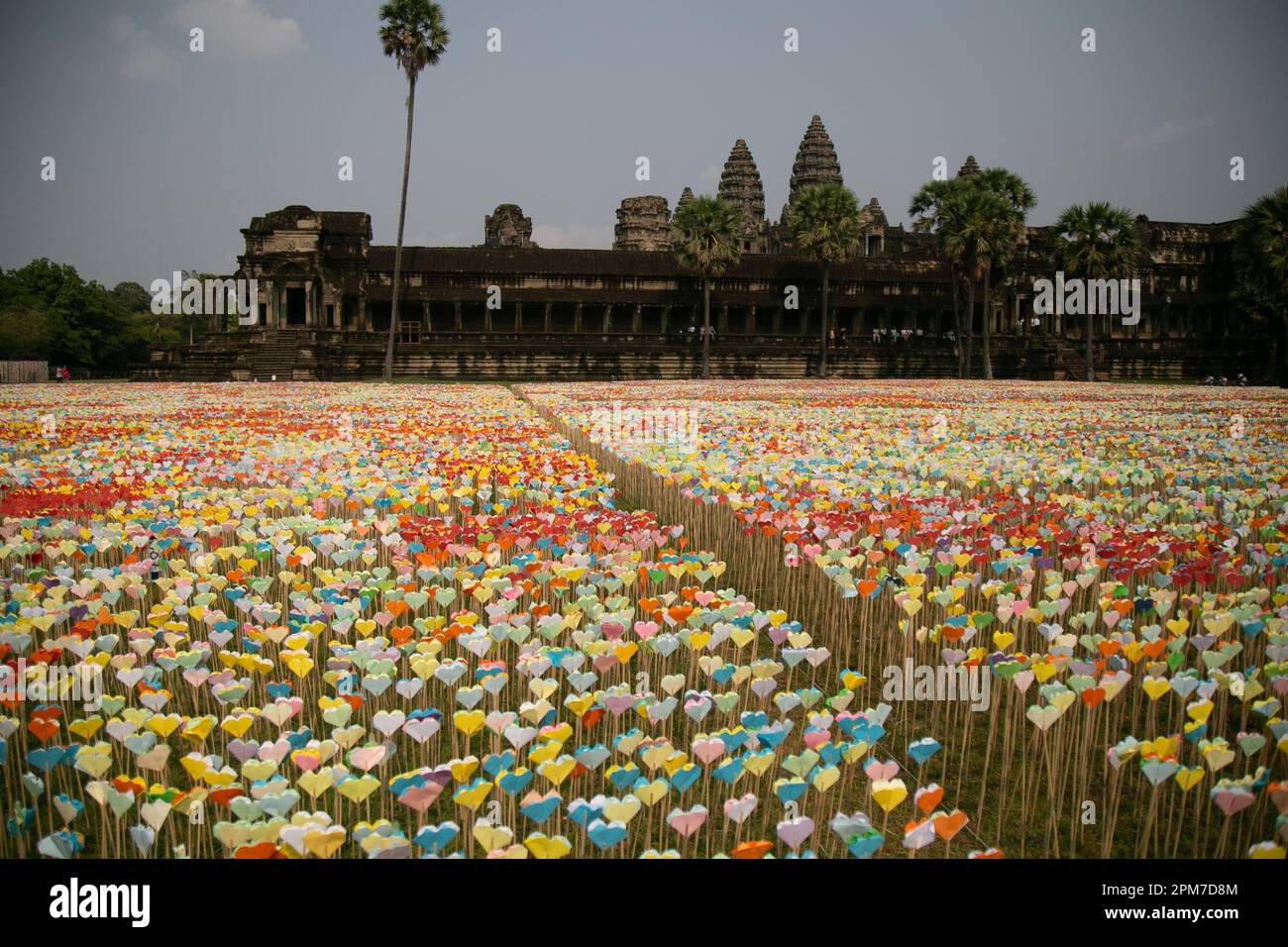 (230412) -- SIEM REAP, 12 aprile 2023 (Xinhua) -- i cuori di Origami sono esposti al complesso del Parco Archeologico di Angkor nella provincia di Siem Reap, Cambogia il 11 aprile 2023. La mostra di cuori di origami in Cambogia è stata inclusa nel Guinness Book of Records di martedì come la più grande mostra di cuori di origami al mondo, rompendo il precedente record detenuto dalla Gran Bretagna, ha annunciato un giudice del Guinness World Records. I quasi 4 milioni di cuori di origami sono stati esposti presso il complesso del famoso Parco Archeologico di Angkor nella provincia di Siem Reap, nella Cambogia nord-occidentale, per mostrare sostegno al 32nd Sud-est A. Foto Stock