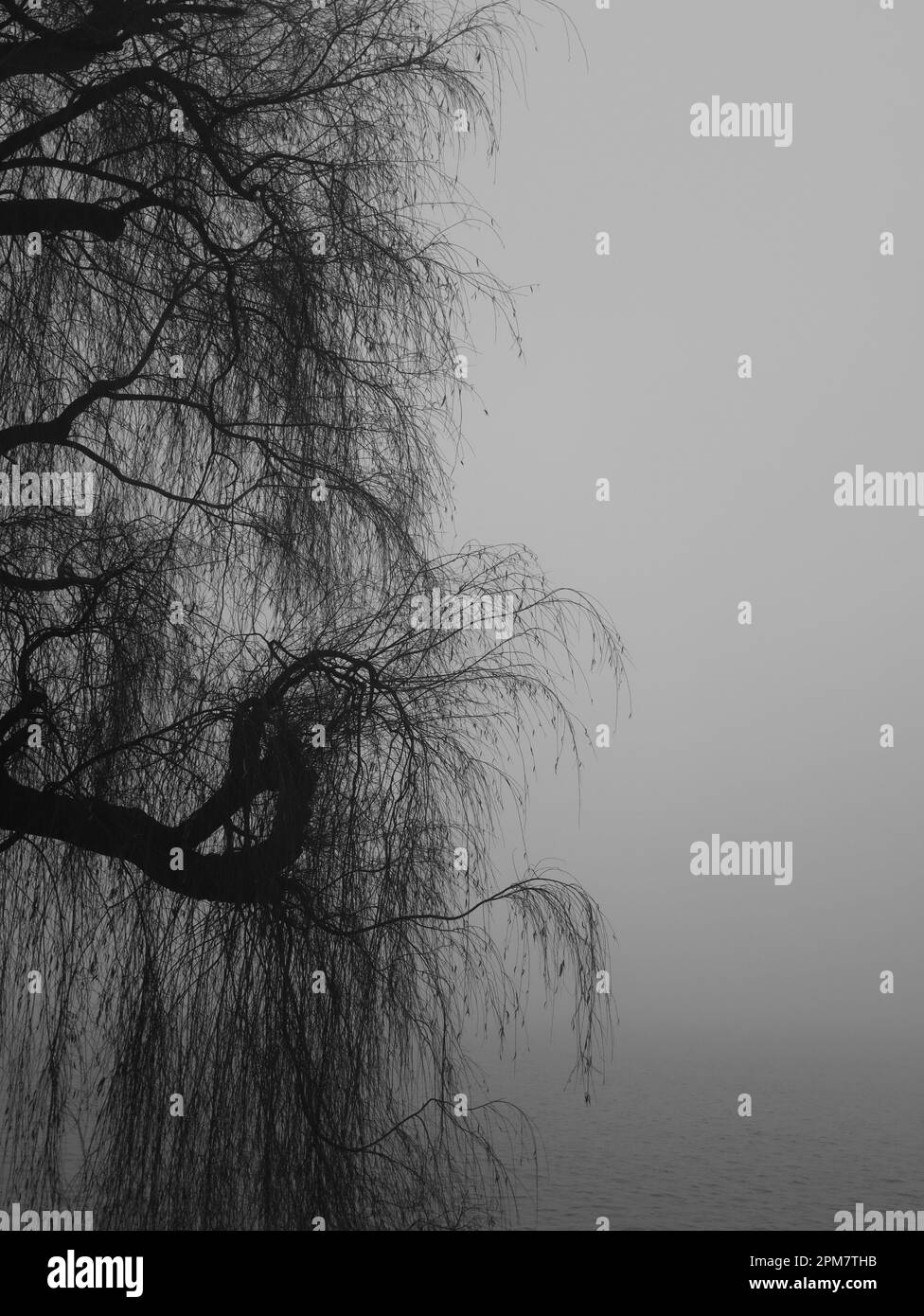 nebbia in montagna Foto Stock