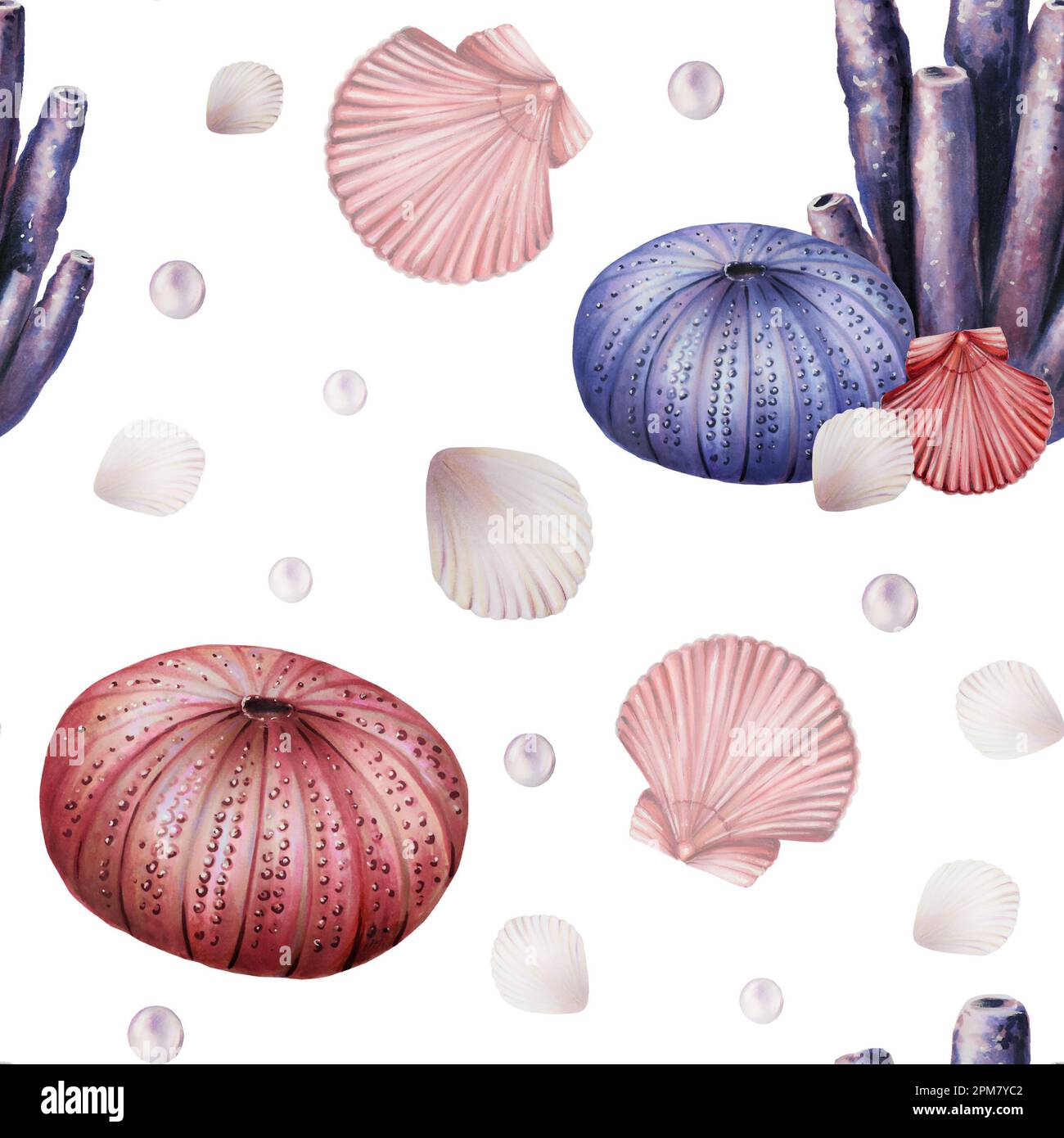 Acquerello senza cuciture con coralli, ricci, conchiglie e perle. Pittura a mano clipart oggetti subacquei vita su uno sfondo bianco isolato. Per Foto Stock