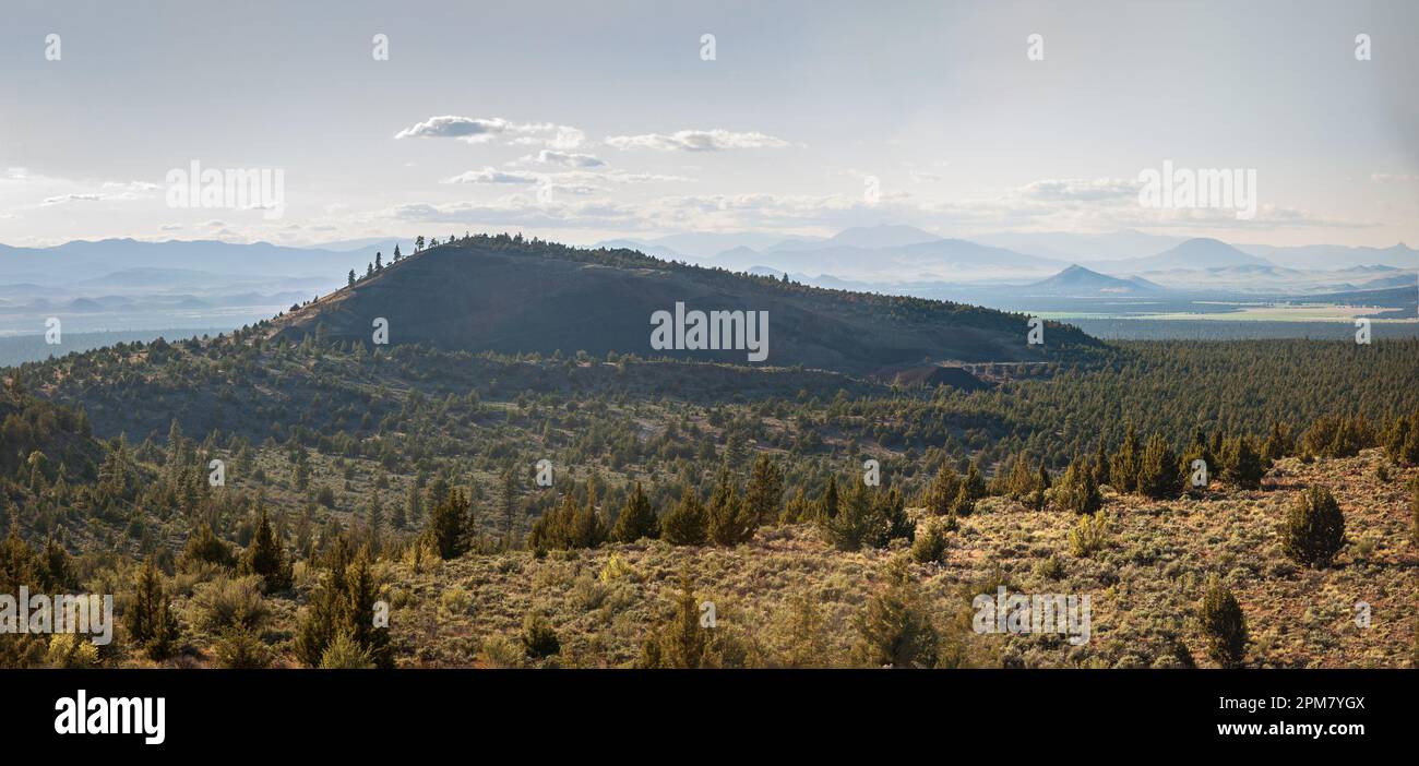 Shasta-Trinity National Forest in California Foto Stock