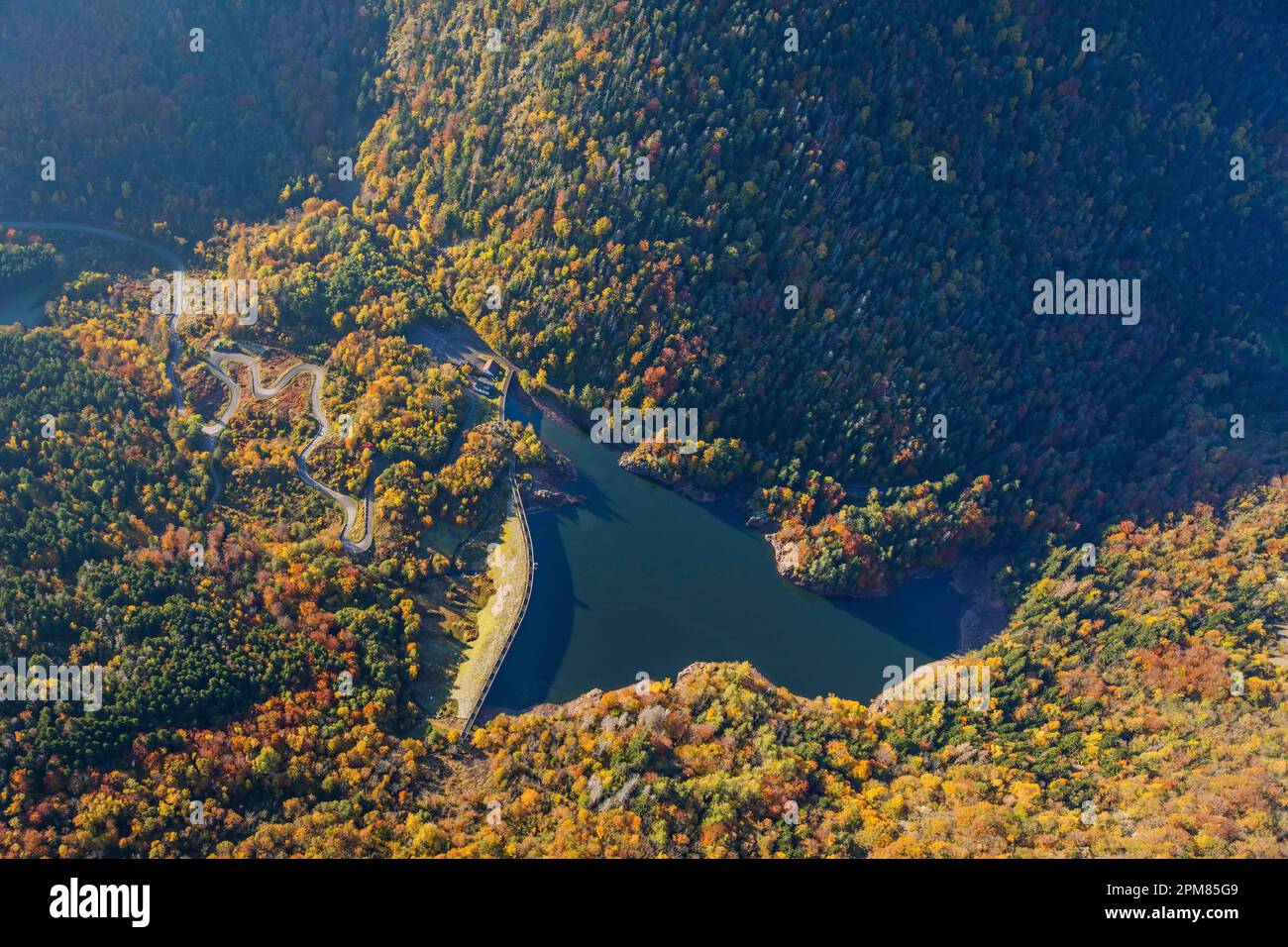 Francia, Alto Reno, valle del Doller, Sewen, lago di Alfeld ai piedi del Ballon d'Alsace (vista aerea) Foto Stock