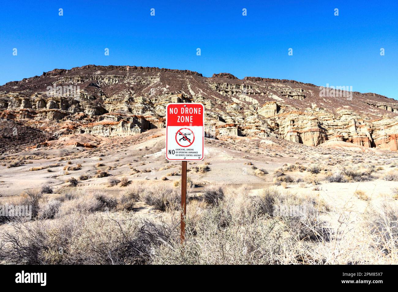 Stati Uniti, California, regione di Greater Palm Springs, Hagen Canyon Nature Trail Foto Stock