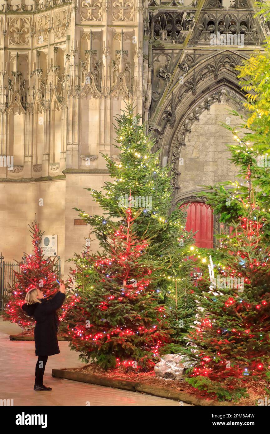 Francia, Aube, Troyes, piazzale della cattedrale di Saint Pierre e Saint Paul, decorazioni natalizie e illuminazioni Foto Stock