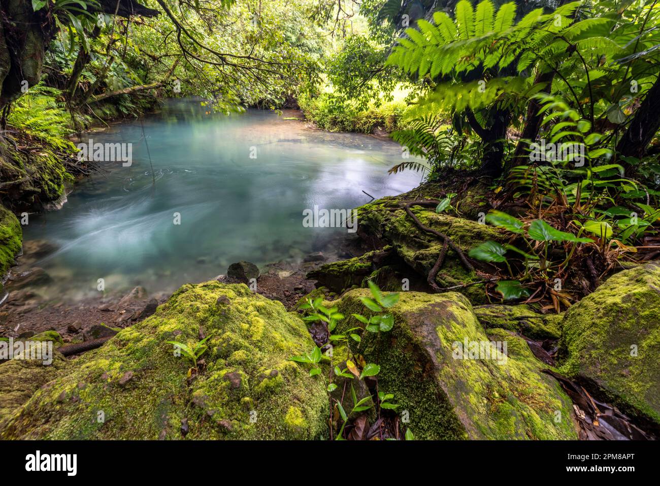 Costa Rica, provincia di Alajuela, parco nazionale del vulcano Tenorio, Rio Celeste Foto Stock