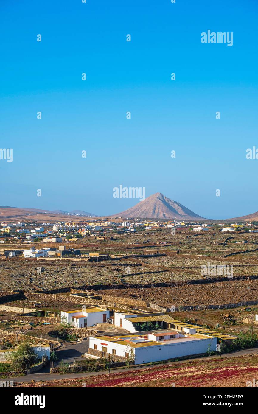 Spagna, Isole Canarie, Fuerteventura, la Oliva, Malpais de la Arena, una pianura di lava ricoperta di licheni e la Montaña Tindaya sullo sfondo Foto Stock