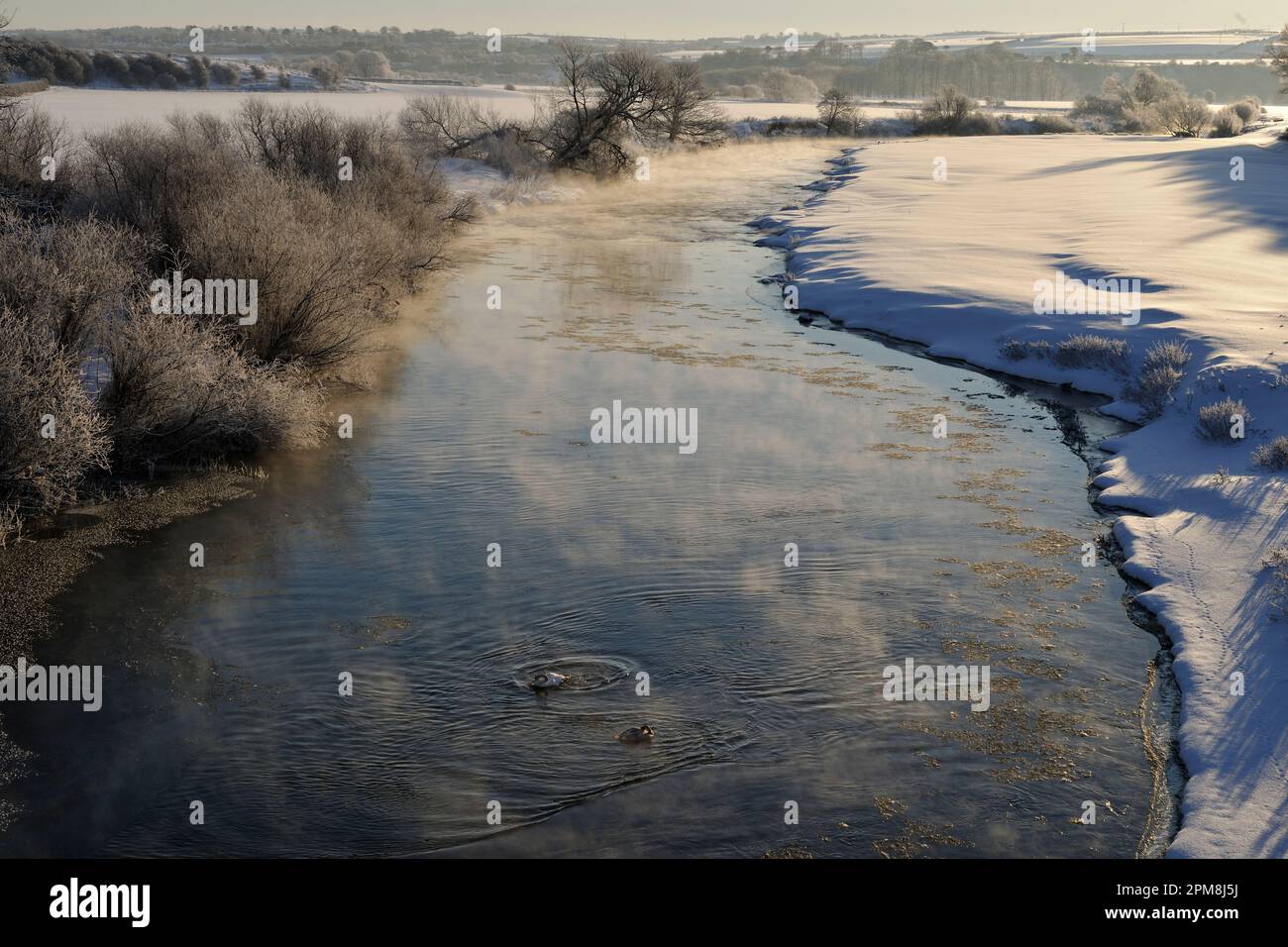 Fiume Whiteadder nella luce del mattino presto con vapore che sale dalla superficie a causa della differenza di temperatura tra l'acqua e l'aria Foto Stock