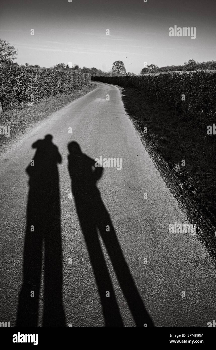 Le ombre allungate di una coppia mentre camminano lungo una corsia di campagna a Billingshurst, West Sussex, Regno Unito, la sera. Foto Stock
