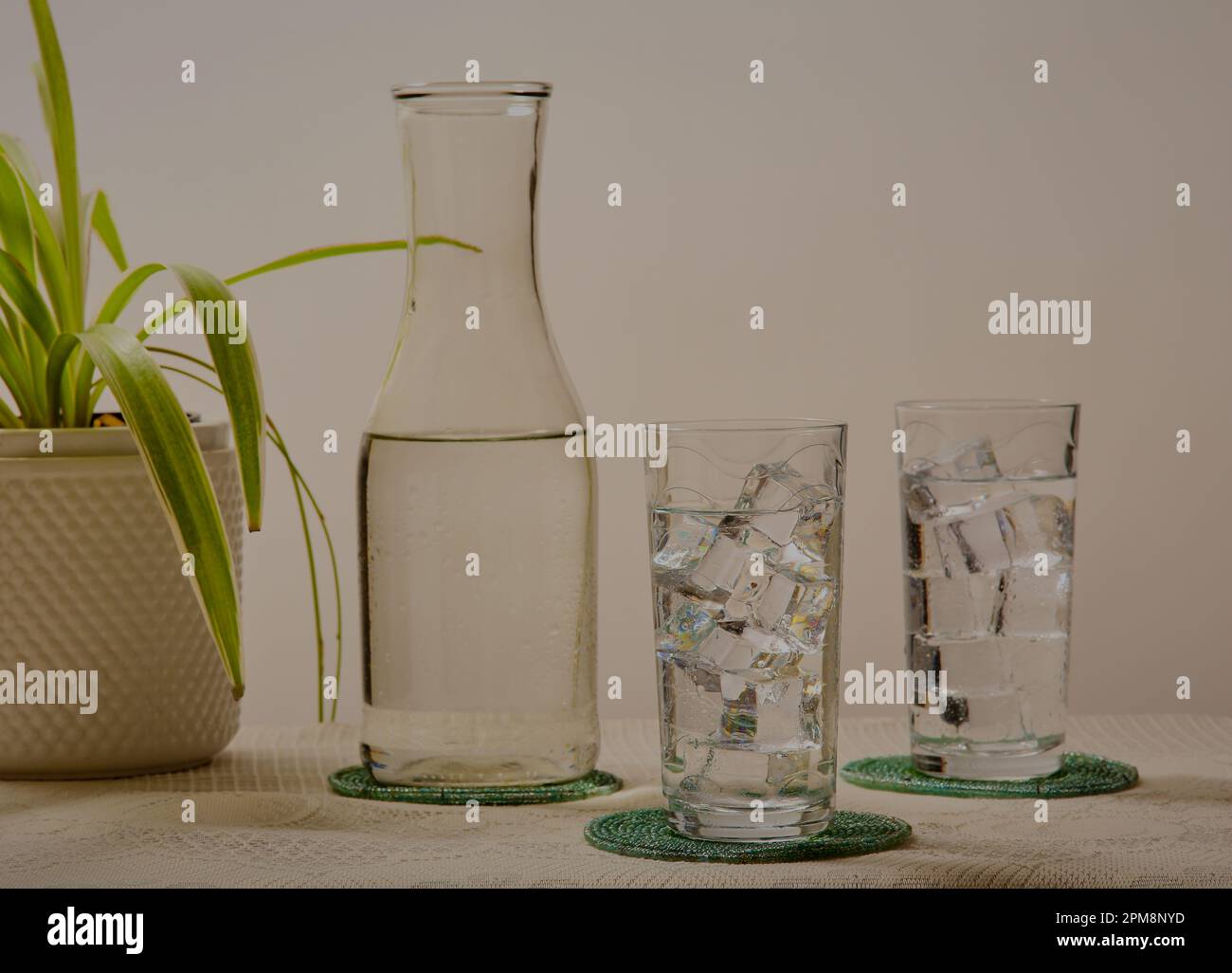 Decanter e bicchieri d'acqua con una pianta interna sullo sfondo. Foto Stock