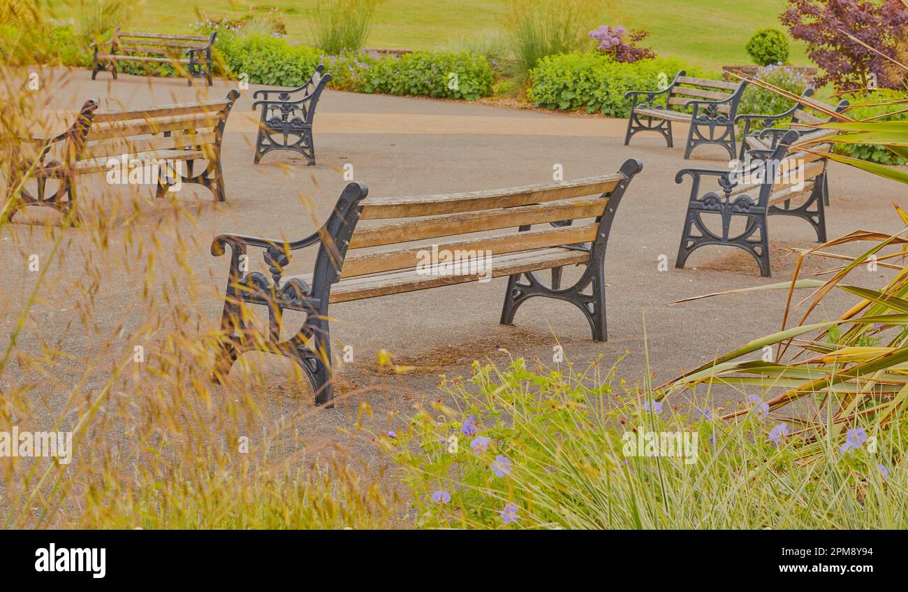 Gruppo di panchine del parco su un'area dura con vegetazione intorno ad esse. Foto Stock