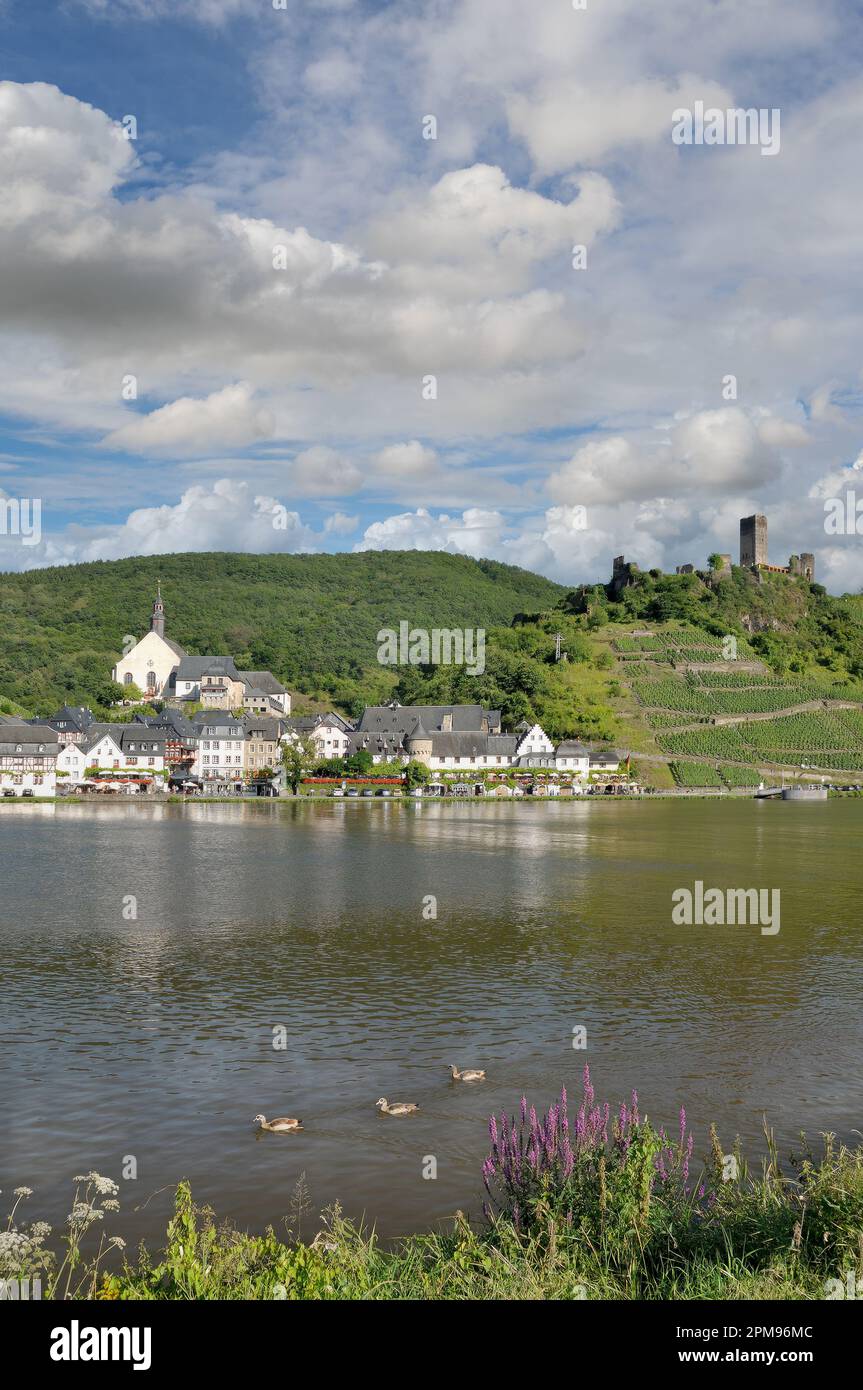 Villaggio del vino di Beilstein, Fiume Mosel, Valle Mosel, Renania-Palatinato, Germania Foto Stock