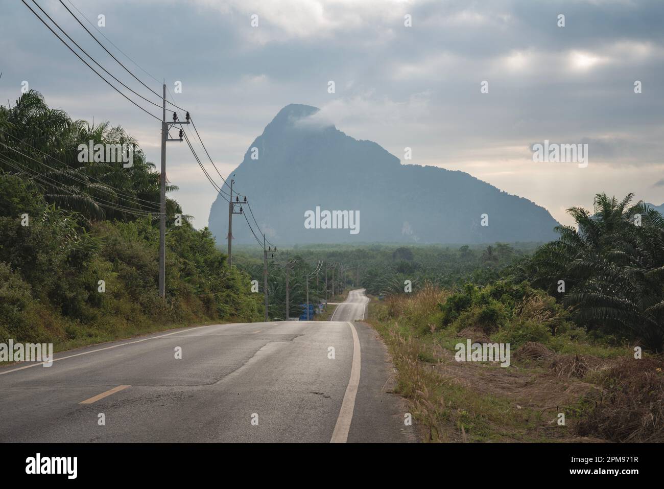 Bella strada per le montagne all'alba. Il percorso per la piattaforma di osservazione Samet Nangshe in Thailandia. Viaggi e turismo Foto Stock